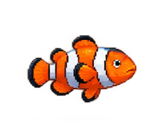 Clownfish