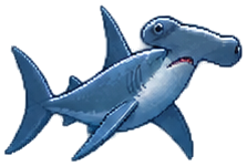 Smooth Hammerhead