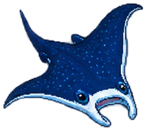 Manta Ray